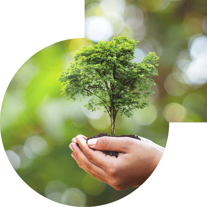 关怀人类、文化、环境与社会